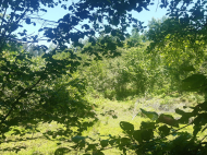 იყიდება მიწის ნაკვეთი ურეკში, საქართველო. ფოტო 5