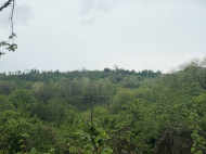 House for sale with a plot of land in Ozurgeti, Georgia. Photo 14