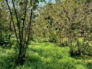 Land parcel, Ground area for sale in Mukhaestate, Georgia. Photo 1