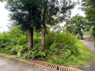 Land parcel, Ground area for sale in a resort district of Chakvi, Sachino. Photo 3