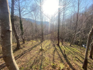 Land parcel, Ground area for sale in the suburbs of Batumi. Akhalsheni. Photo 3