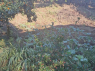 House for sale with a plot of land in Batumi, Georgia. Photo 2