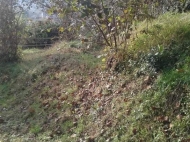 a plot of land for sale in the vicinity of Batumi Photo 7