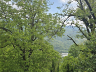 Купить частный дом в курортном районе Амбролаури, Грузия. Фото 6