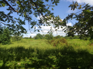 Land parcel, Ground area for sale in Kobuleti, Georgia. Photo 2