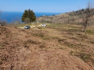 Land for sale near the sea in Sarpi, Georgia. Photo 4