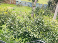 იყიდება კერძო სახლიმიწის ნაკვეთით შრომა, საქართველო. ფოტო 20