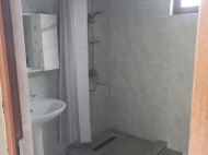 ყიდვა კერძო სახლის მიწის ნაკვეთით ზესტაფონი, საქართველო. ხილის ბაღი. ვენახი. ფოტო 8