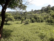 Land parcel, Ground area for sale in the suburbs of Batumi, Georgia. Photo 3