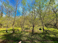 იყიდება მიწის ნაკვეთი ზღვასთან ურეკში, საქართველო. ფოტო 5