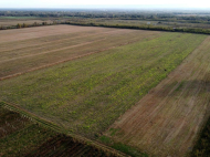 An existing agricultural complex for sale. Lagodekhi, Georgia. Photo 15