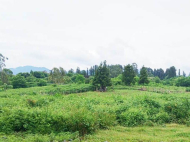 Ground area for sale in a resort district of Kobuleti, Georgia. Photo 4