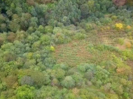 Land parcel for sale in a picturesque place. Ground area for sale in a resort district of Georgia. Near the river. Adjara, Georgia. Photo 5