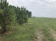 Продается земельный участок на берегу Черного моря в Шекветили, Грузия. Фото 3
