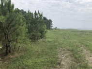 Plot of land on the Black Sea coast in Shekvetili. The land for sale on the Black Sea coast in Shekvetili, Georgia. Photo 3