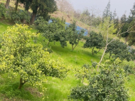 იყიდება კერძო სახლიმიწის ნაკვეთით შრომა, საქართველო. ფოტო 21