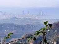 Продается земельный участок в пригороде Батуми, Грузия. Вид на море и горы. Фото 2