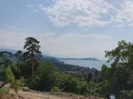 Продается земельный участок у моря. Зеленый мыс, Грузия. Участок с видом на море. Фото 1