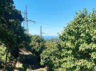 Купить частный дом в курортном районе Зеленый мыс, Грузия. Вид на море. Фото 7
