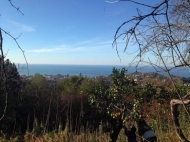 House for sale with a plot of land in the suburbs of Batumi, Gantiadi. Sea view. Photo 1
