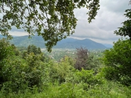 House for sale with a plot of land in the suburbs of Batumi, Tkhilnari. Photo 18