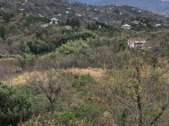 Продается земельный участок у моря. Букнари, Грузия. Участок с видом на море. Фото 4