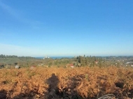 Купить земельный участок в Сахалвашо, Грузия. Фото 1