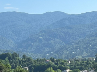 Renovated house for sale in a quiet district of Khelvachauri, Batumi, Georgia. Photo 23