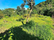 Земельный участок в курортной зоне Чакви, Сачино. Грузия. Участок с видом на море. Фото 6