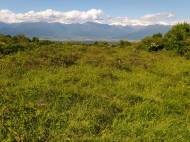 Land for sale in Kakheti, Georgia. Photo 3
