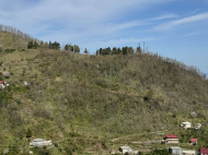 Продается земельный участок в пригороде Батуми, Грузия. Ахалшени. Выгодно для инвестиционных проектов. Фото 6