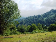 Продается земельный участок в живописном месте. Купить частный дом с земельным участком в окрестностях Озургети, Грузия. Фото 2