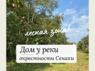 Продается двухэтажный дом с большим земельным участком в окрестностях Сенаки, Грузия. Фото 2