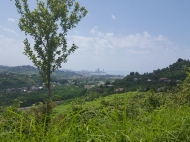 Ground area (A plot of land) for sale in a quiet district of Batumi, Georgia. Land parcel with sea view and the city. Photo 7