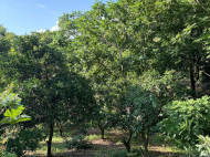 House for sale with a plot of land in Makhinjauri, Georgia. Photo 19