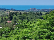 Земельный участок в курортной зоне Чакви, Чаисубани. Вид на море. Фото 3 Земельный участок в курортной зоне Чакви, Чаисубани. Вид на море. Фото 3