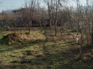 Купить частный дом с земельным участком в пригороде Озургети, Грузия. Фото 9