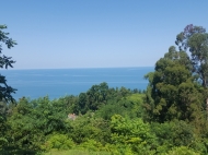 Ground area ( A plot of land ) for sale in Batumi, Georgia. Land with with sea and сity view. Photo 11