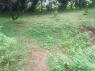 იყიდება მიწის ნაკვეთი ზღვასთან ჩაქვში, საქართველო. მიწის ნაკვეთი მდინარის მახლობლად. ფოტო 6