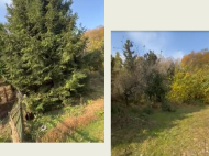 Купить дом с земельным участком в пригороде Супса, Грузия. У реки. Фото 12