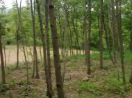 House for sale in a resort district of Kutaisi, Georgia. Near the river. Natural spring. Photo 6