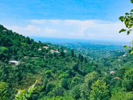 Продается дом с земельным участком в Квирике, Грузия. Вид на море. Фото 4