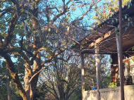 Продается деревянный домик. Купить дом с земельным участком в пригороде Самтредиа, Грузия. Фото 6