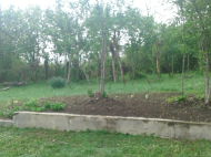 Buy a house by the river in the suburbs of Tskaltubo. A house with a plot of land by the river is for sale in the vicinity of Tskaltubo, Georgia. Photo 6