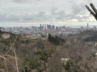 Land parcel, Ground area for sale in the suburbs of Batumi, Urehi. Sea view. Photo 1