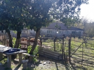 Земельный участок с животноводческой фермой в Ланчхути, Грузия. Фото 2