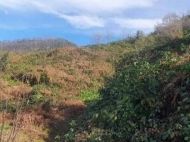 Продается земельный участок в пригороде Батуми, Ортабатуми. Фото 3