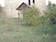 House for sale with a plot of land in Natanеbi, Georgia. Photo 2