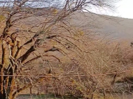 Купить частный дом в курортном районе Цхалтубо, Грузия. Фото 20