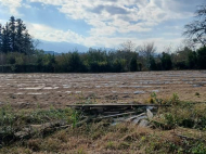 House for sale with a plot of land in the suburbs of Ozurgeti, Georgia. Near the river. Working business. Photo 14